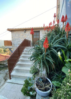 CasaBruno